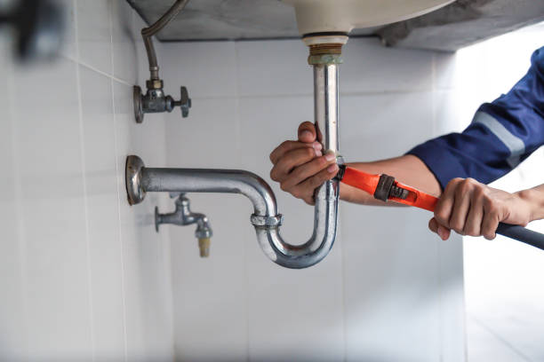 Best Plumbing Services Near Me  in Nora Springs, IA